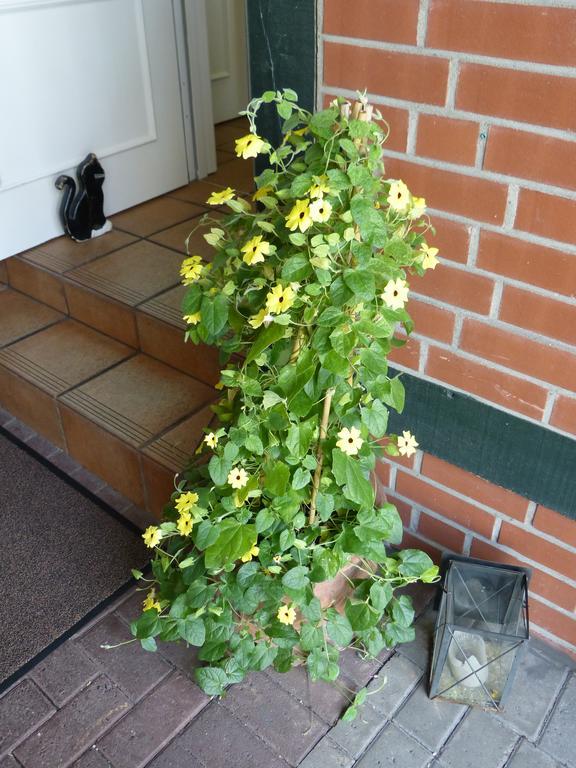 Hotel Am Hehlentor Celle Zewnętrze zdjęcie